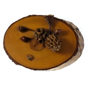 MAGNES NA LODÓWKĘ KOMPOZYCJA OZDOBA DREWNIANA M01807