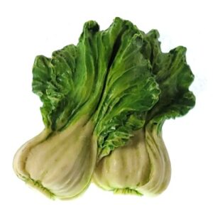 MAGNES NA LODÓWKĘ KAPUSTA PEKIŃSKA M13545