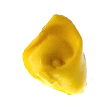 MAGNES NA LODÓWKĘ TORTILLI JEDZENIE M13598