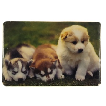 MAGNES NA LODÓWKĘ PIESKI KAFELEK CERAMIKA M02349