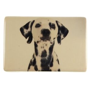 MAGNES NA LODÓWKĘ PIES KAFELEK CERAMIKA M02350