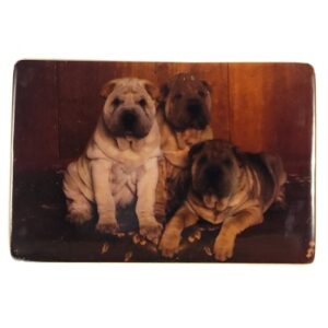 MAGNES NA LODÓWKĘ PSY KAFELEK CERAMIKA M02353