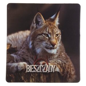 MAGNES NA LODÓWKĘ RYŚ BIESZCZADY M02427