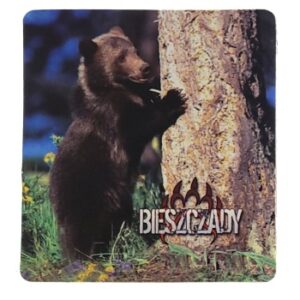 MAGNES NA LODÓWKĘ NIEDŹWIEDŹ BIESZCZADY M02429