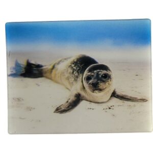 MAGNES NA LODÓWKĘ FOKA 3D M02873