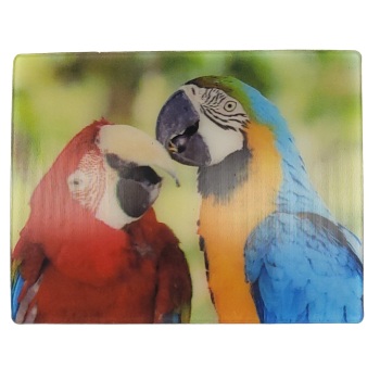MAGNES NA LODÓWKĘ PAPUGI 3D PTAKI M02903