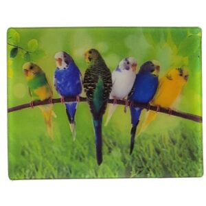 MAGNES NA LODÓWKĘ PAPUGI 3D PTAKI M02904