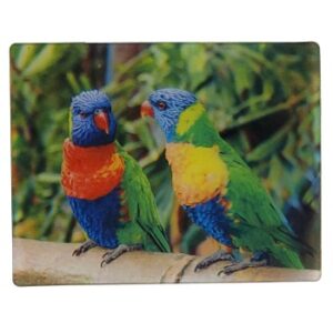 MAGNES NA LODÓWKĘ PAPUGI 3D PTAKI M02907