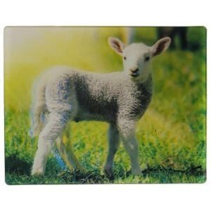 MAGNES NA LODÓWKĘ JAGNIĘ 3D ZWIERZĘTA M02910