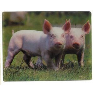 MAGNES NA LODÓWKĘ ŚWINKI 3D ZWIERZĘTA M02911