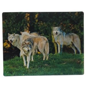 MAGNES NA LODÓWKĘ WILKI 3D ZWIERZĘTA M02922