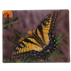 MAGNES NA LODÓWKĘ MOTYLE 3D OWADY M02926