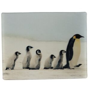 MAGNES NA LODÓWKĘ PINGWINY 3D PTAKI M02933