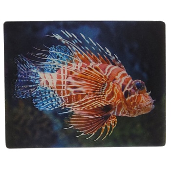 MAGNES NA LODÓWKĘ RYBA 3D ZWIERZĘTA M02937