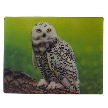 MAGNES NA LODÓWKĘ SOWA 3D TRÓJWYMIAROWE M02944