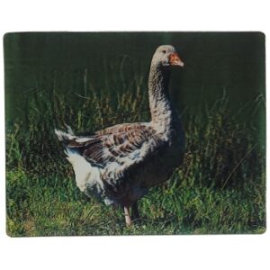 MAGNES NA LODÓWKĘ PTAKI 3D PTAKI M02960