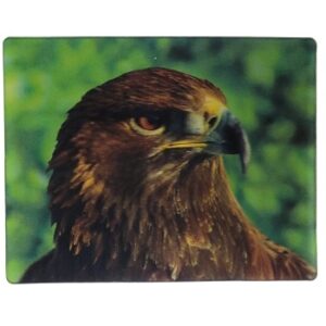 MAGNES NA LODÓWKĘ PTAKI 3D ORZEŁ PRZEDNI PTAKI M02961