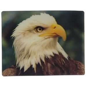 MAGNES NA LODÓWKĘ PTAKI 3D ORZEŁ BIELIK PTAKI M02962