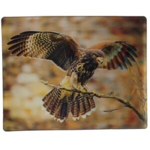 MAGNES NA LODÓWKĘ PTAKI 3D JASTRZĄB PTAKI M02963