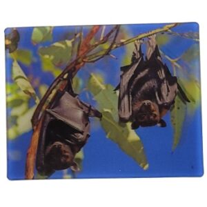 MAGNES NA LODÓWKĘ NIETOPERZE 3D ZWIERZĘTA M02965