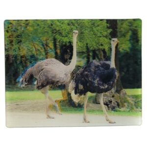 MAGNES NA LODÓWKĘ STRUSIE 3D PTAKI M02967