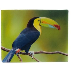 MAGNES NA LODÓWKĘ TUKAN 3D PTAKI M02969