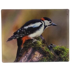 MAGNES NA LODÓWKĘ DZIĘCIOŁ DUŻY 3D PTAKI M02971