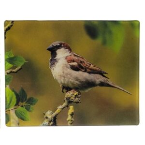 MAGNES NA LODÓWKĘ WRÓBEL PŁOWY 3D PTAKI M02972