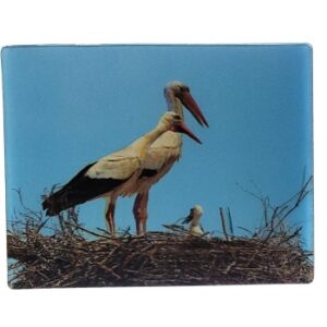 MAGNES NA LODÓWKĘ BOCIANY 3D PTAKI M02974