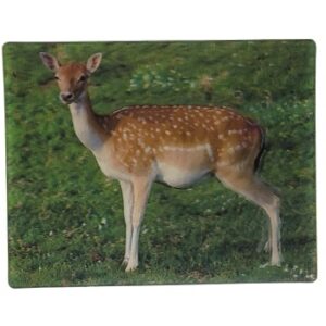 MAGNES NA LODÓWKĘ DANIEL 3D ZWIERZĘTA M02985