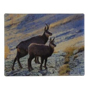 MAGNES NA LODÓWKĘ KOZICE 3D TRÓJWYMIAROWE M03030