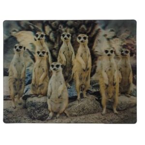 MAGNES NA LODÓWKĘ SURYKATKI 3D TRÓJWYMIAROWE M03032