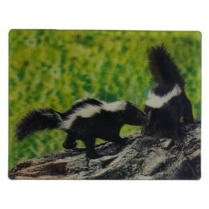 MAGNES NA LODÓWKĘ SKUNKSY 3D TRÓJWYMIAROWE M03035