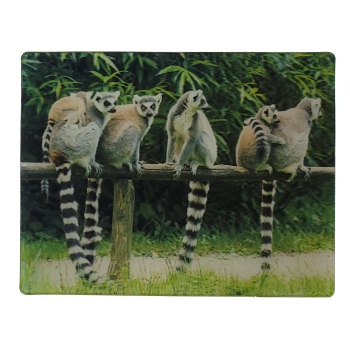 MAGNES NA LODÓWKĘ LEMURY 3D TRÓJWYMIAROWE M03045