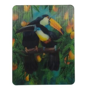 MAGNES NA LODÓWKĘ TUKAN ZWIERZĘTA PTAKI 3D TRÓJWYMIAROWE M03087