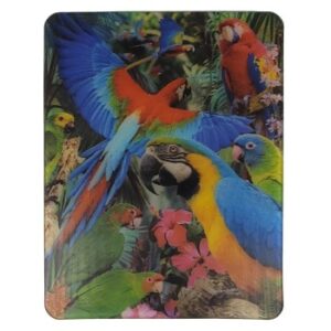 MAGNES NA LODÓWKĘ PAPUGI ZWIERZĘTA PTAKI 3D TRÓJWYMIAROWE M03088