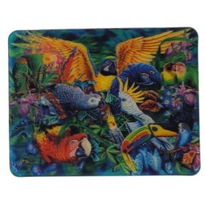 MAGNES NA LODÓWKĘ PAPUGI ZWIERZĘTA PTAKI 3D TRÓJWYMIAROWE M03089