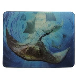 MAGNES NA LODÓWKĘ PŁASZCZKA RYBY ZWIERZĘTA 3D TRÓJWYMIAROWE M03109