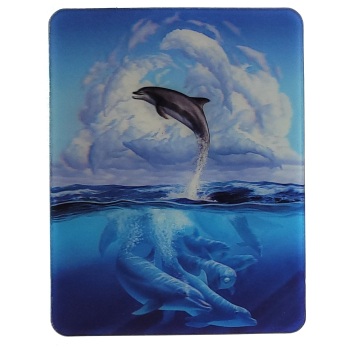 MAGNES NA LODÓWKĘ DELFIN ZWIERZĘTA 3D TRÓJWYMIAROWE M03127