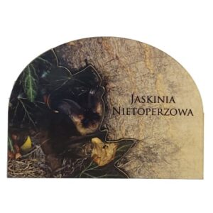 MAGNES NA LODÓWKĘ JASKINIA NIETOPERZOWA NIETOPERZ M03455