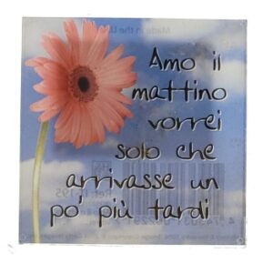 MAGNES NA LODÓWKĘ SENTENCJA KWIATEK PRZEZROCZYSTY PLASTIK M03490