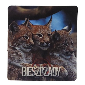 MAGNES NA LODÓWKĘ AKWARELA BIESZCZADY RYŚ M03621