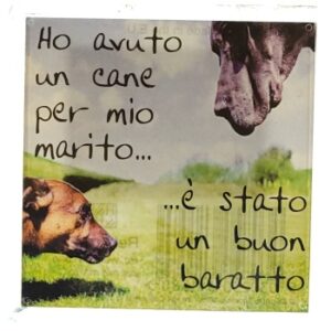 MAGNES NA LODÓWKĘ SENTENCJA PRZEZROCZYSTY PLASTIK M03808