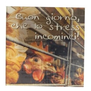 MAGNES NA LODÓWKĘ SENTENCJA GŁOWY KOGUTA PRZEZROCZYSTY PLASTIK M03969