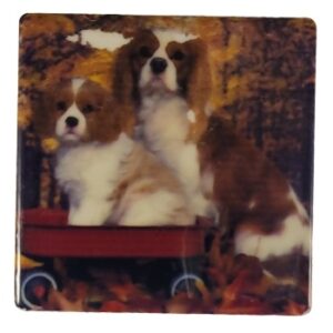 MAGNES NA LODÓWKĘ PSY KAFELEK M03971