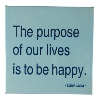 MAGNES NA LODÓWKĘ SENTENCJA M04177