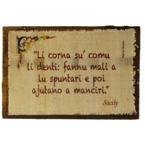 MAGNES NA LODÓWKĘ SENTENCJA GREWNO M04188