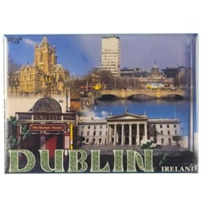MAGNES NA LODÓWKĘ Dublin Irlandia M13678