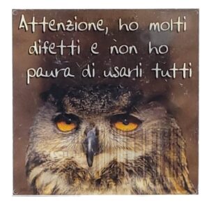 MAGNES NA LODÓWKĘ sentencja sowa M13885