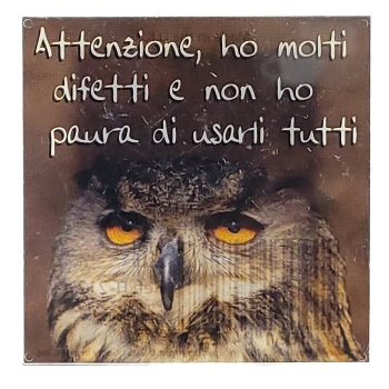 MAGNES NA LODÓWKĘ sentencja sowa M13885